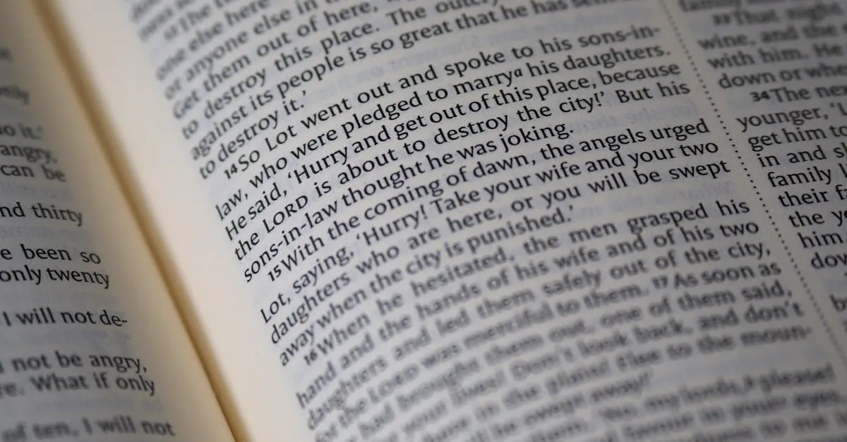 Quem dividiu a Bíblia em capítulos e versículos? Descubra!